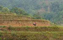 Ước mơ gió mưa dừng sau cánh cửa của trò nghèo Hà Giang