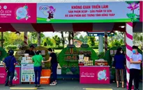 Độc đáo Tuần lễ trái cây “Trên bến dưới thuyền”