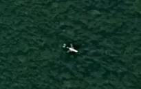 Campuchia bác thông tin xác máy bay MH370 nằm trong rừng sâu