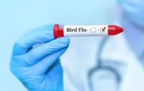 Công nhân chăn nuôi bò sữa thứ 3 mắc cúm gia cầm ở Mỹ, bang Michigan mở rộng xét nghiệm