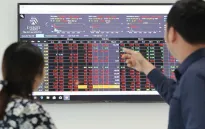 Tín hiệu lạc quan của thị trường chứng khoán