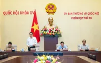 Ủy ban Thường vụ Quốc hội sẽ cho ý kiến về giảm thuế giá trị gia tăng