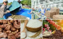 Giải ngân gói tín dụng 30.000 tỷ đồng - Cú hích cho lĩnh vực lâm, thủy sản