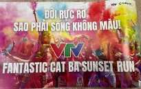 Triển khai kế hoạch tổ chức giải Marathon quốc tế VTV