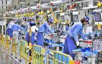 Địa phương Nhật Bản đẩy mạnh thu hút lao động Việt Nam