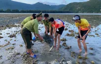 Vườn Quốc gia Côn Đảo giải cứu rùa xanh quý hiếm bị mắc cạn