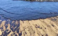Tràn dầu ngoài khơi bờ biển Caribe của Venezuela