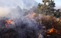 Cháy rừng tại California, Mỹ lan rộng