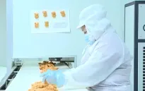 Doanh nghiệp tăng cường sản xuất, cung cấp hàng hóa sau bão