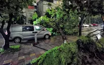 Bảo hiểm bồi thường 7.000 tỷ đồng thiệt hại do bão số 3