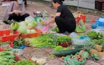 Rau xanh tăng giá do nguồn cung đứt gãy