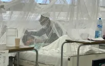 Dịch sốt xuất huyết bùng phát mạnh tại châu Mỹ