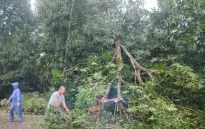 Philippines sơ tán hàng nghìn người trước bão Yinxing