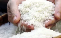 Thái Lan triển khai các biện pháp ổn định giá gạo