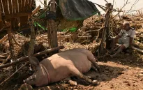 Bão chồng bão, Philippines chuẩn bị ứng phó với cơn bão thứ 6 Manyi