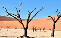 Hơn 300 người di cư bị bắt giữ ở sa mạc Libya
