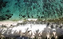 Australia cảnh báo du lịch đối với Fiji sau nhiều ca ngộ độc rượu