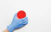 Nuôi cấy thành công virus cảm lạnh để phát triển vaccine