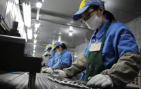 Trung Quốc cảnh báo lừa đảo xuất khẩu lao động xuyên biên giới
