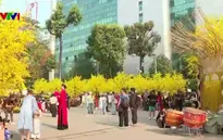 TP Hồ Chí Minh: Rộn ràng không gian Tết truyền thống