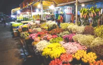 Dự báo sức mua hoa, cây cảnh trong dịp Tết sẽ không biến động nhiều