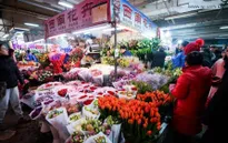 Nhộn nhịp chợ hoa xuân tại Bắc Kinh trong những ngày giáp Tết