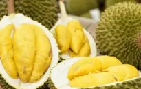 Xuất khẩu sầu riêng gặp khó