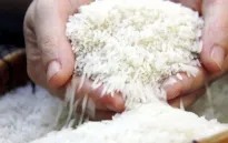 Mở rộng thị trường để gia tăng giá trị gạo Việt