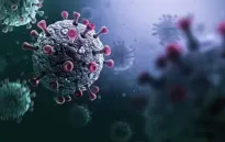 Chủng virus corona mới phát hiện có nguy cơ lây lan mạnh như COVID-19?