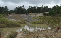 Tỷ lệ phá rừng Amazon ở Colombia giảm thấp nhất trong hơn hai thập kỷ