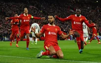 Cody Gakpo sẽ vắng mặt trong trận Liverpool gặp PSG