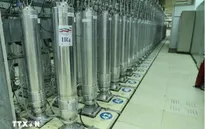 Các nước cam kết giải trừ vũ khí hạt nhân