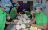 Kinh tế tư nhân cần được đối xử bình đẳng và hiệu quả