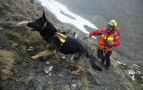 Chó cứu hộ: Những 'người hùng' trong các vụ lở tuyết trên dãy Alps