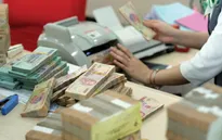 Triển khai gói tín dụng 100.000 tỷ đồng cho nông, lâm, thủy sản