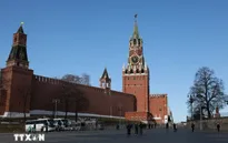Điện Kremlin: Có tiến triển trong đàm phán nhằm chấm dứt xung đột ở Ukraine