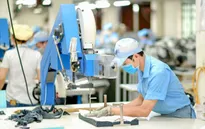 Nâng đôi cánh cho kinh tế tư nhân bay cao