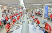 Phát triển kinh tế tư nhân: “Gõ” từng ngành để tạo sức bật cho doanh nghiệp