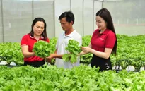 Agribank góp phần tích cực thúc đẩy kinh tế tư nhân phát triển