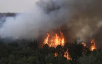 Israel đối mặt cháy rừng quy mô lớn nghi do 'khủng bố'