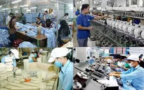 Nâng cao nội lực cho kinh tế tư nhân
