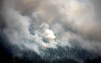 Nga: Cháy rừng nghiêm trọng ở Siberia, trên 600.000 ha bị thiêu rụi