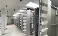 Ứng dụng trí tuệ nhân tạo nuôi muỗi chống sốt xuất huyết tại Singapore
