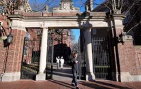 Nhiều trường đại học mời sinh viên Harvard chuyển hồ sơ