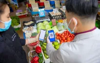 Sử dụng thủ thuật né truy thu thuế, có thể bị truy cứu trách nhiệm hình sự