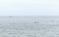 Rơi máy bay ngoài khơi bờ biển San Diego, 6 người thiệt mạng