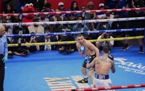 Boxing thật hay trò diễn? Pacquiao tái xuất, Jake Paul gây sốc và Lomachenko giải nghệ

