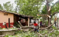 Bão Erick di chuyển khỏi bờ biển Mexico, ít nhất 2 người tử vong