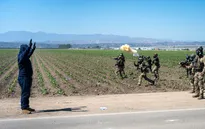 Đột kích trang trại cần sa ở Mỹ, hàng trăm người bị bắt