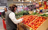 Mỹ áp thuế chống bán phá giá 17% đối với cà chua Mexico